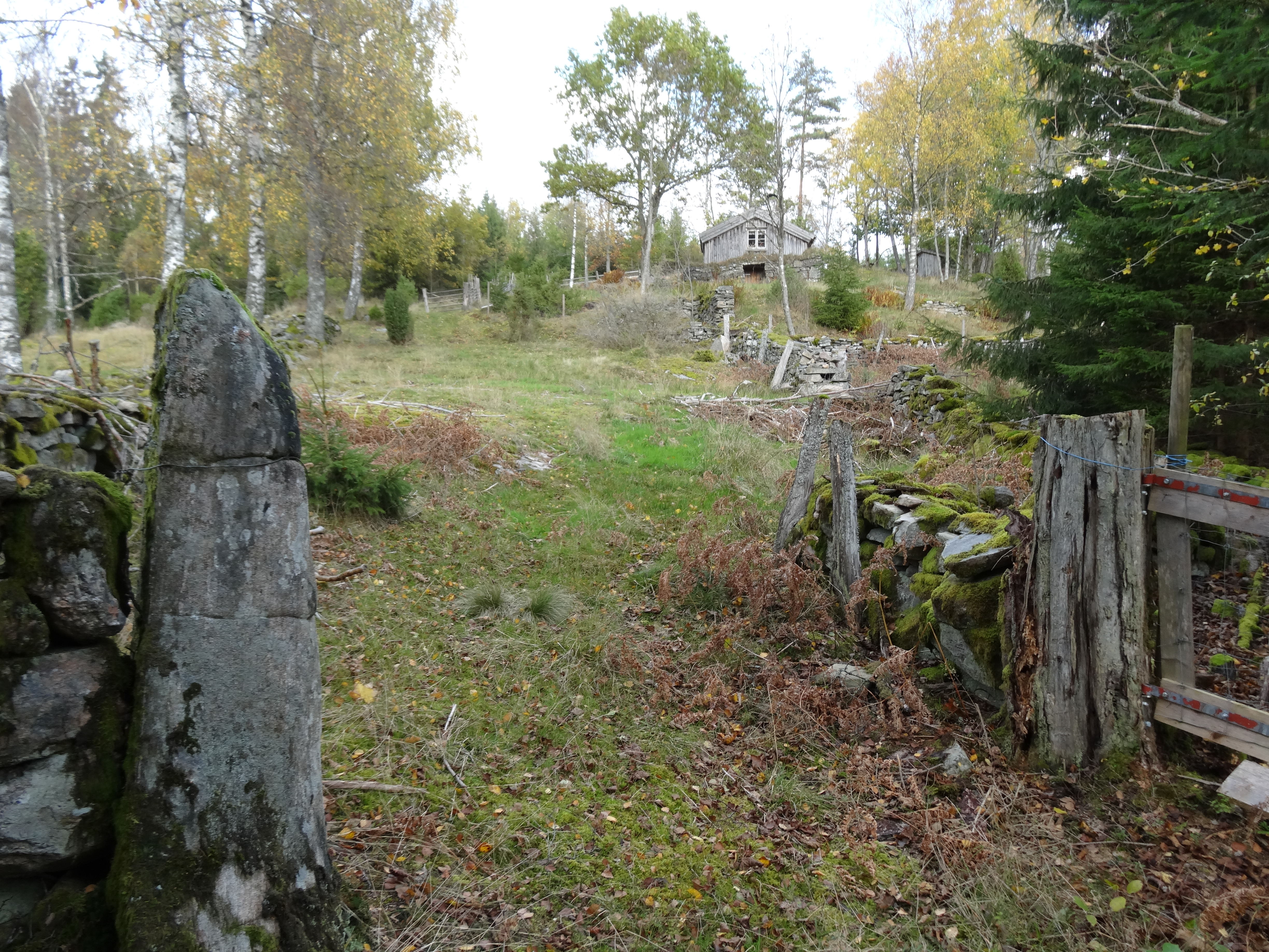 Torpet Berntssons, hösten 2014 (8)